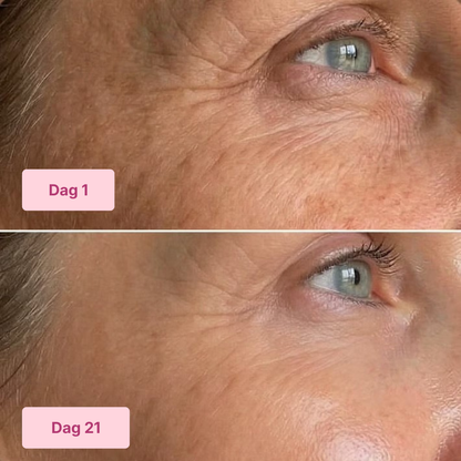 Triple Collagen Set Toner + Cream